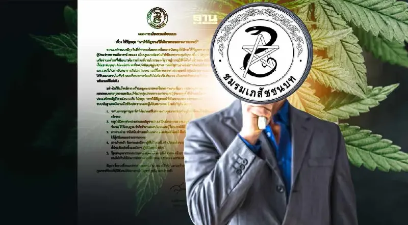 ชมรมเภสัชชนบท ออกแถลงการณ์ จี้รัฐหยุดใช้กัญชาเสรีเกินขอบเขตทางการแพทย์