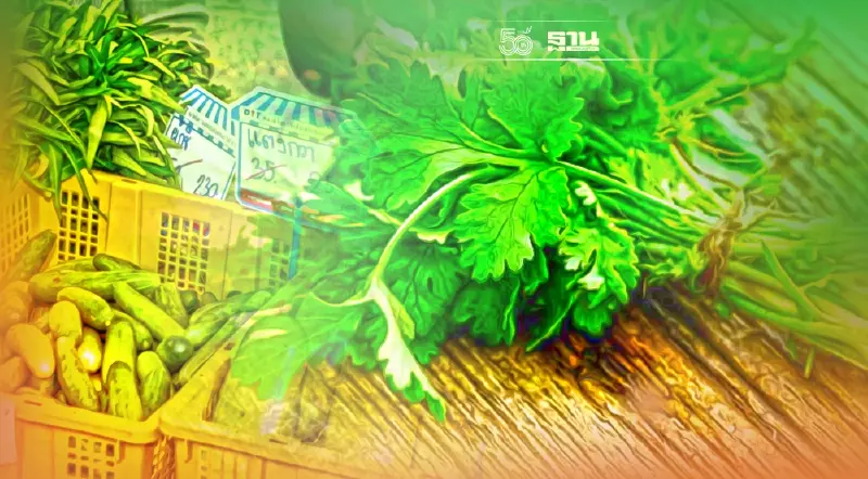 ราคา “ผักสด” วันนี้(25ก.ค.)ปรับขึ้นเกือบทุกรายการ เช็คได้ที่นี่ 