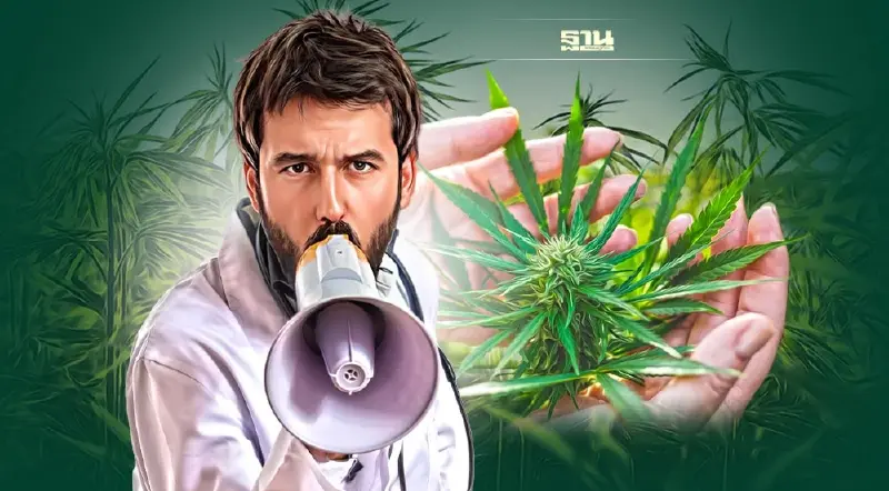 แพทย์ชนบท แนะฟังเสียง หมอ 851 คน  ห่วงสุญญากาศกัญชาเสรี