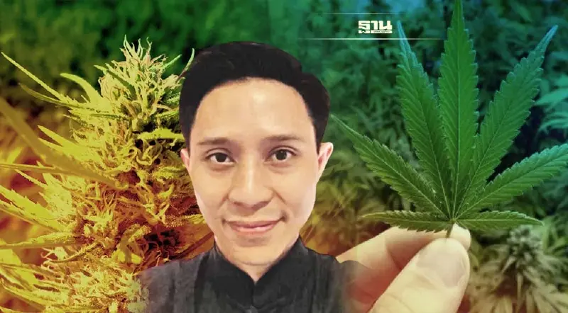 ทำไม ไม่ควรคุม “กัญชา” ให้เข้มกว่า บุหรี่และเหล้า มีคำตอบ