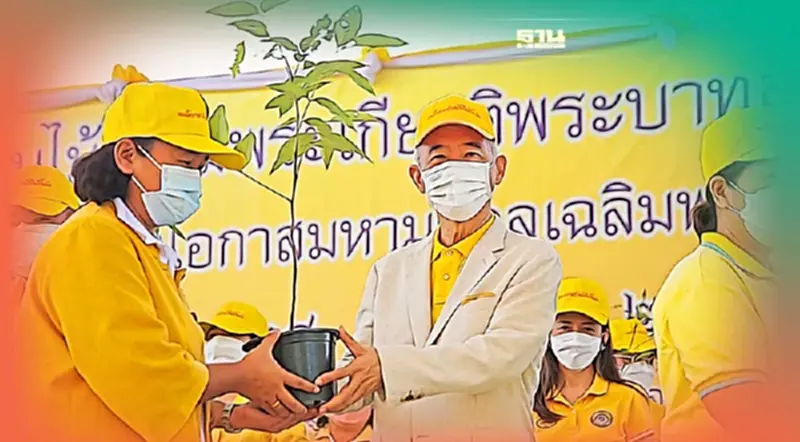 “สุวัจน์”นำคนโคราชปลูกต้นไม้เฉลิมพระเกียรติในหลวง ร.10 “สุวัจน์”นำคนโคราชปลูกต้นไม้เฉลิมพระเกียรติในหลวง ร.10