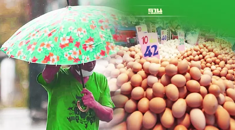 ฝนตก “พ่นพิษ” ตลาดไข่ไก่ ซบเซา คนไม่ออกมาซื้อของ