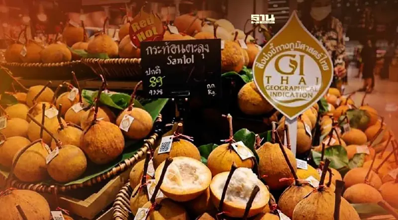 "กระท้อน"ก็มา ของดีลพบุรีสินค้าGI จากสวนสู่ห้างคาดสะพัด100ล้าน 