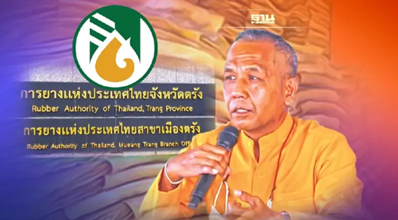 สู้‘เสือการยาง’ทุบราคา ชาวสวนตรังนำร่อง จับมือ‘ชะลอขาย’ สู้‘เสือการยาง’ทุบราคา ชาวสวนตรังนำร่อง จับมือ‘ชะลอขาย’