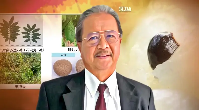 จีน เปิดตัวลูกผสม "ลำไย-ลิ้นจี่" พันธุ์แรกของโลก