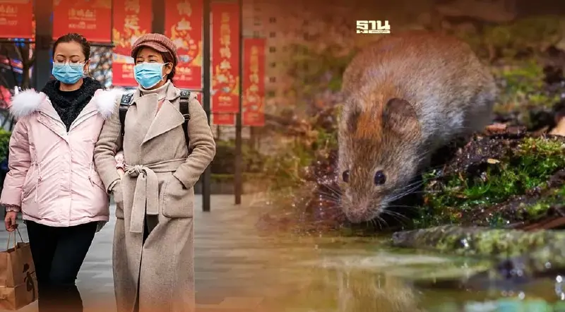 ผวา! จีนพบผู้ติดเชื้อไวรัส “เลย์วี” 35 ราย คาดแพร่จากสัตว์สู่คน