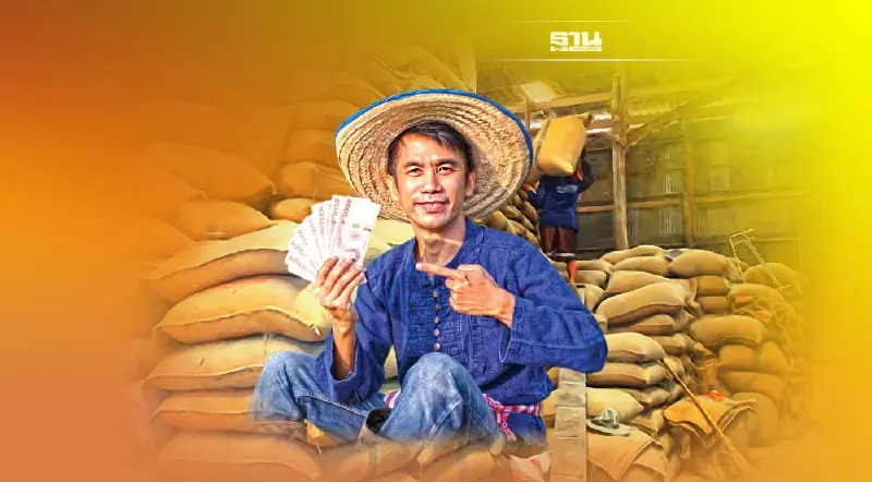 “ทีดีอาร์ไอ”จัดหนัก “ประกันรายได้ข้าว” หลงทิศ ติดหนี้พุ่ง 8.5 แสนล้าน