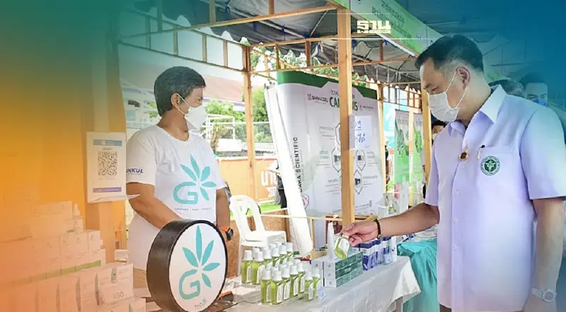 ลุยปั้นกัญชาเป็นโปรดักส์แชมป์เปี้ยน เพิ่มมูลค่าเศรษฐกิจ สร้างรายได้ชุมชน