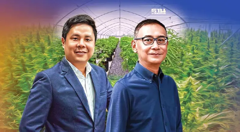 ‘กัญชง’ ตลาดพุ่ง 5 หมื่นล้าน ไทย-เทศ แห่ลงทุน จ่อฮับส่งออก