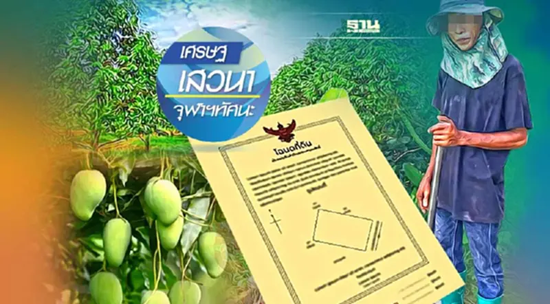 สิทธิในที่ดินและที่สวน ประวัติศาสตร์ บทเรียนการถือครอง สิทธิในที่ดินและที่สวน ประวัติศาสตร์ บทเรียนการถือครอง
