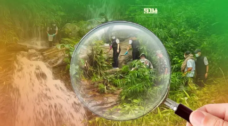 ทส.ลุยตรวจสอบข้อมูลเชื้ออีโคไล ในน้ำตกก่อนขึ้นดอยสุเทพ