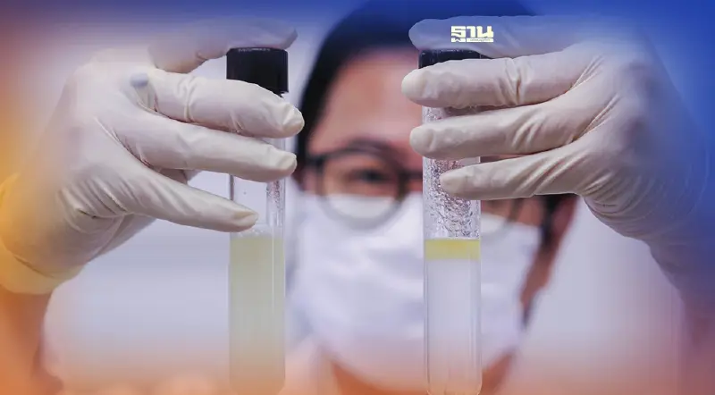 นาโนเทค สวทช. เติมนวัตกรรม น้ำมันงาขี้ม้อน ส่งต่อเอกชนบุกตลาดเพื่อสุขภาพ