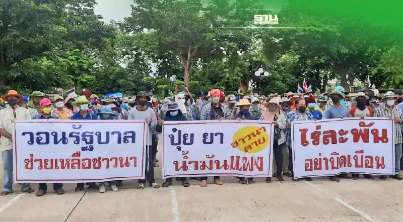 ทวง “เงินช่วยเหลือชาวนา”  ไร่ละ 1,000 บาทจ่ายสูงสุด 2 หมื่นบาท