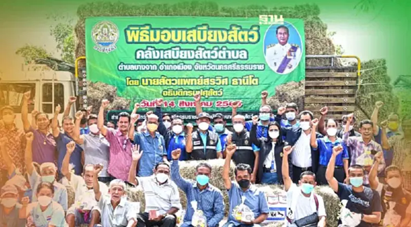 กรมปศุสัตว์ลุยแจกหญ้าอาหารสัตว์เมืองคอน ตั้ง 670 คลังเสบียงรับภัยพิบัติ กรมปศุสัตว์ลุยแจกหญ้าอาหารสัตว์เมืองคอน ตั้ง 670 คลังเสบียงรับภัยพิบัติ