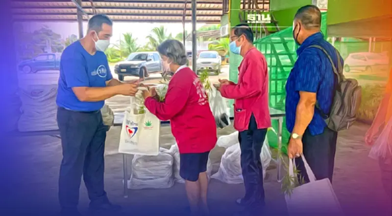 ตราดแห่รับกรมวิชาการเกษตผลิต"แจกกัญ...ล้านต้น"คึกคัก ตราดแห่รับกรมวิชาการเกษตผลิต"แจกกัญ...ล้านต้น"คึกคัก