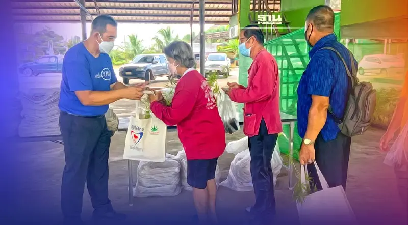 ตราดแห่รับกรมวิชาการเกษตผลิต"แจกกัญ...ล้านต้น"คึกคัก 