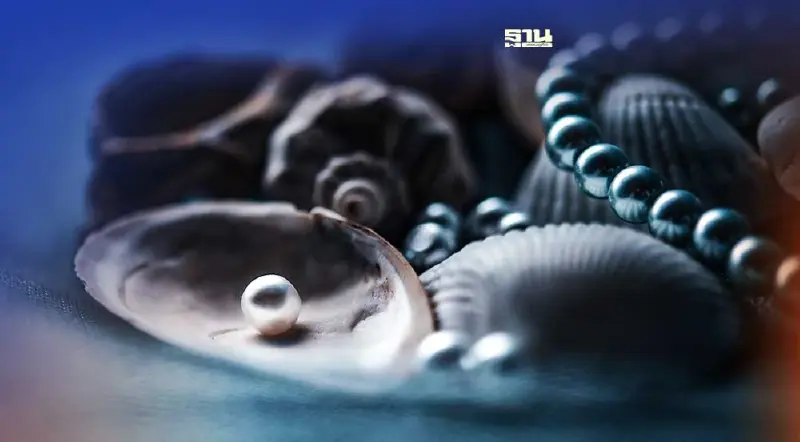 รู้จักความหมายของสี“ไข่มุก”อัญมณีแห่งท้องทะเล