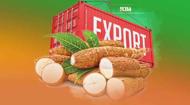 "รง. ผลิตแอลกอฮอล์-วัตถุดิบอาหารสัตว์" ในจีน เปิดศึกแย่งมันสำปะหลัง