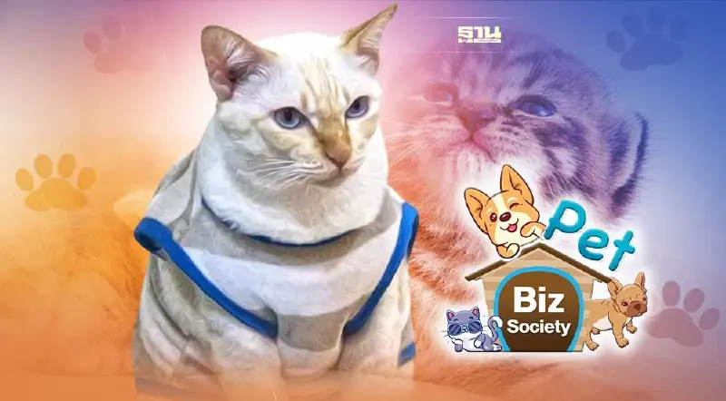 วันนี้ “วันแมวโลก” วันที่ 8 สิงหาคม มีที่มาที่ไปอย่างไร ทาสแมวต้องรู้