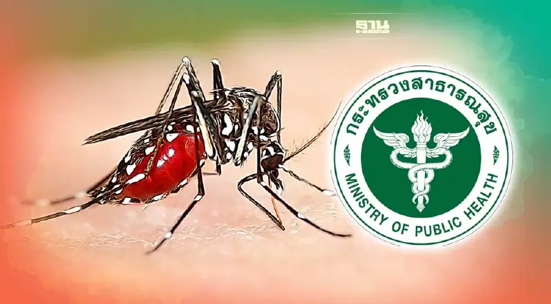 เตือน "โรคไข้เลือดออก" จะกลับมาระบาดใหญ่อีกครั้ง   