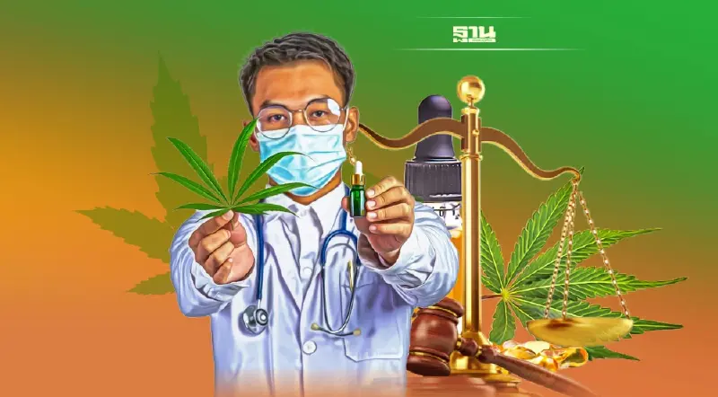 ธุรกิจสายเขียว เคว้ง! รอกฎหมายกัญชาคลอด  ตลาดหมื่นล้านสะดุด