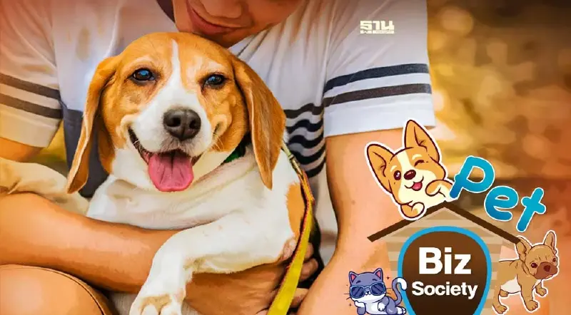 26 สิงหาคม “วันสุนัขโลก” เพื่อนแท้ 4 ขา