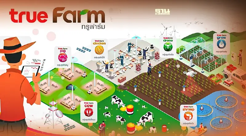 “ทรู ดิจิทัล” เปิดตัวโซลูชั่น  “True Farm” บุกตลาดเกษตรอัจฉริยะ