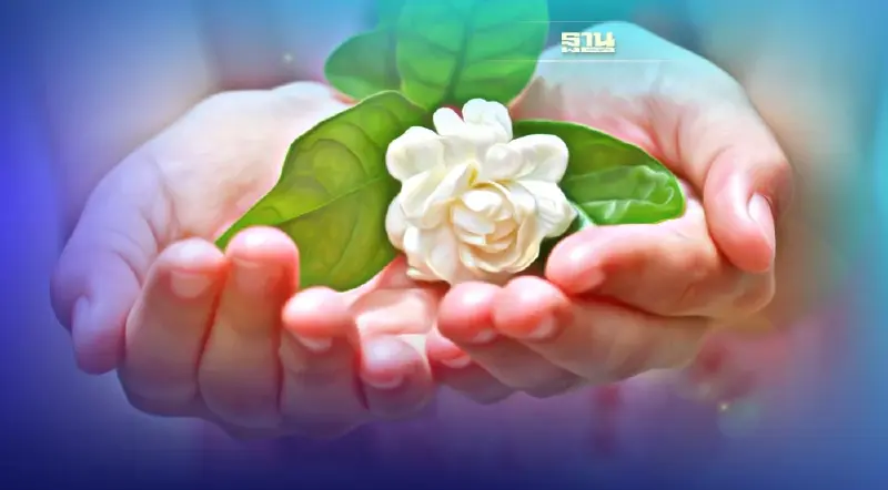 วันศุกร์ 12 สิงหาคม 256ุ6 วันแม่แห่งชาติ ประวัติ "วันแม่"