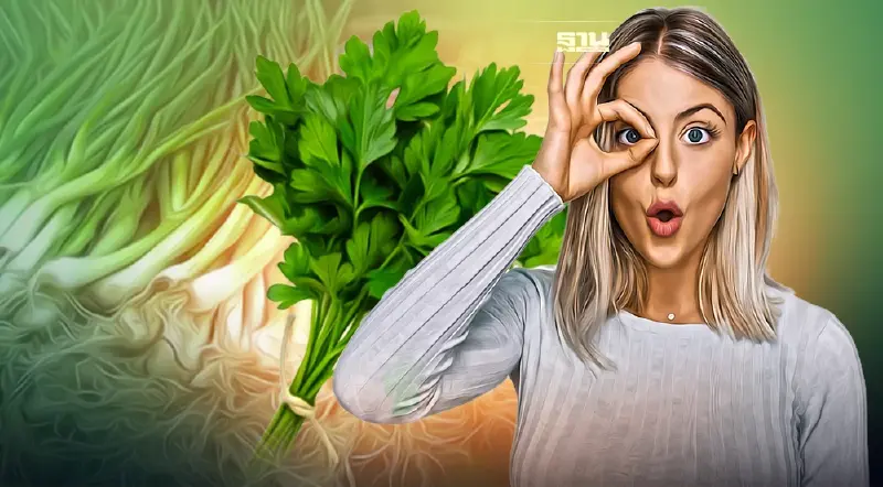 ราคาผักวันนี้ (13ส.ค.)มีรายการไหนปรับขึ้นราคาบ้าง เช็คเลย