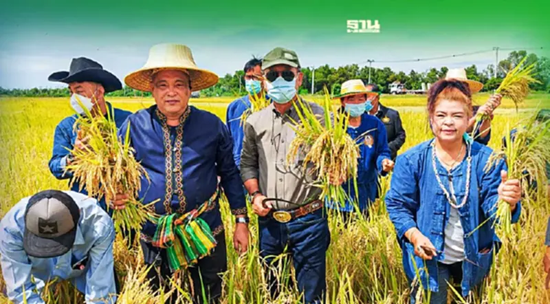 เปิดวาร์ป นาข้าว สมาคมชาวนาและเกษตรกรไทย ใช้จุรินทรีย์ ลดต้นทุน เพิ่มผลผลิต เปิดวาร์ป นาข้าว สมาคมชาวนาและเกษตรกรไทย ใช้จุรินทรีย์ ลดต้นทุน เพิ่มผลผลิต
