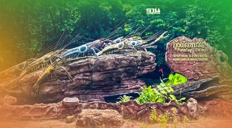 "กุ้งเดินขบวน" ปรากฎการณ์ธรรมชาติ 1 ปีมีครั้งเดียว ต้องห้ามพลาด!