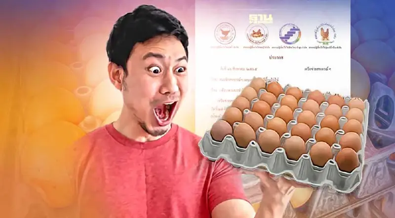 วันพรุ่งนี้ “ไข่ไก่” ปรับขึ้นแผงละ 3 บาท นิวไฮทุบสถิติใหม่