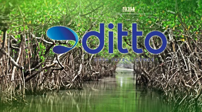 DITTO ร่วมปลูกป่าชายเลน 1.1 หมื่นไร่ รับคาร์บอนเครดิต 90% DITTO ร่วมปลูกป่าชายเลน 1.1 หมื่นไร่ รับคาร์บอนเครดิต 90%