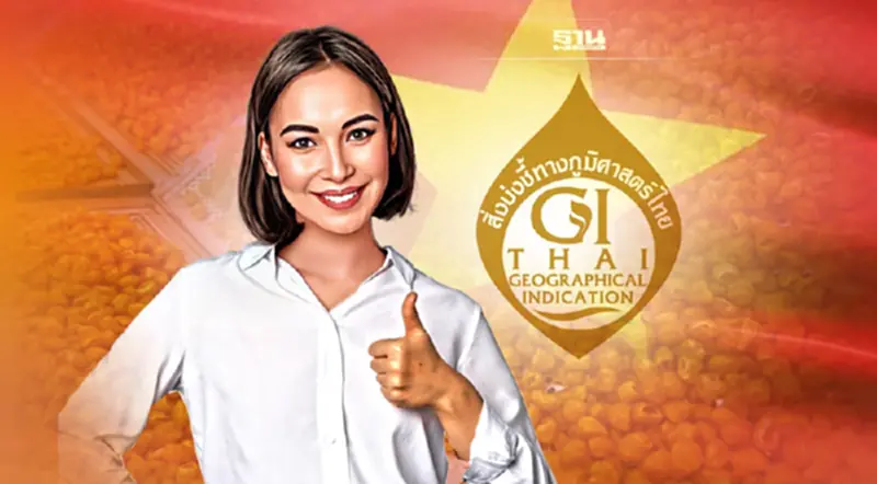 ข่าวดี ลำไยอบแห้งลำพูนได้ GI เวียดนามแล้ว ข่าวดี ลำไยอบแห้งลำพูนได้ GI เวียดนามแล้ว