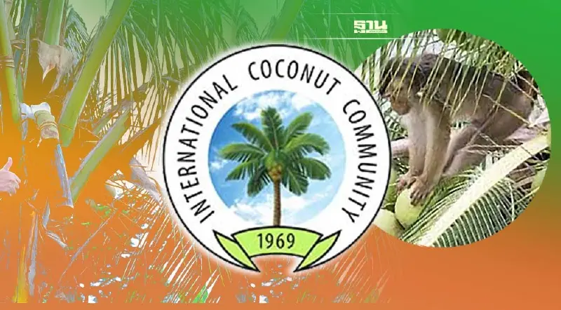 “วันมะพร้าวโลก” อธิบดีกรมวิชาการเกษตร ประกาศจุดยืน แก้ปัญหาลิงเก็บมะพร้าว