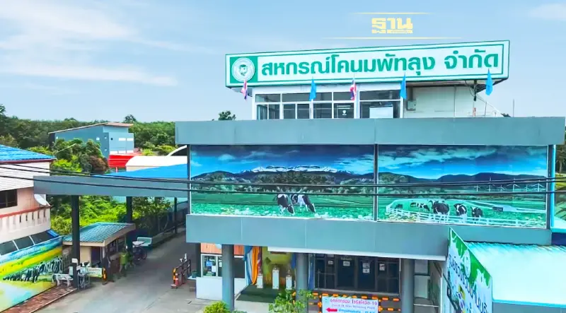 สหกรณ์โคนมพัทลุงลุยขยาย ผลิตภัณฑ์นมแปรรูปครบวงจร