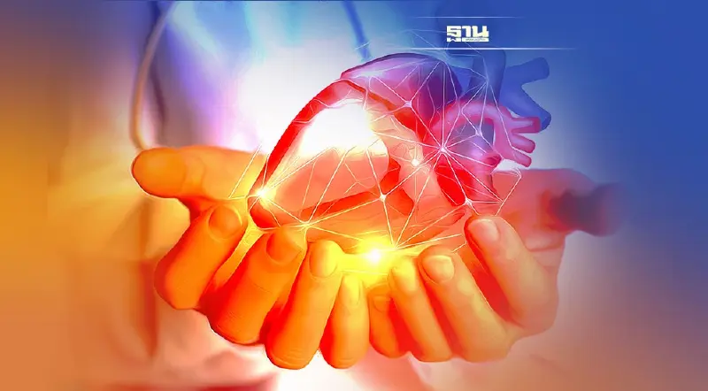 เตือน! ไขมันดีมากไปกลับเป็นเลว เสี่ยงหัวใจวาย-เส้นเลือดตันในสมอง