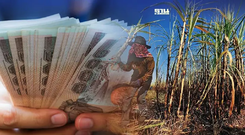 ชาวไร่ ขีดเส้นทวงค่าชดเชยอ้อย วันที่ 20 ก.ย. ต้องเข้า ครม. ถ้าไม่ได้ บุกกรุง