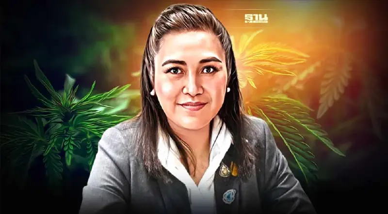 พิมพ์รพี หนุน"กลุ่มแพทย์"  บี้ สธ.ยุติ"กัญชาเสรี" ย้ำ ปชป. ไม่เตะตัดขาใคร