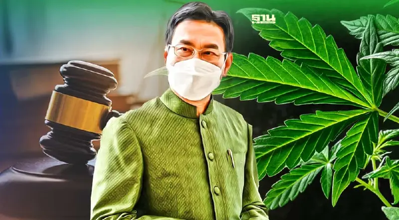 “จุรินทร์”ยันปชป.คว่ำกม.กัญชา  ยึดประโยชน์ส่วนรวม