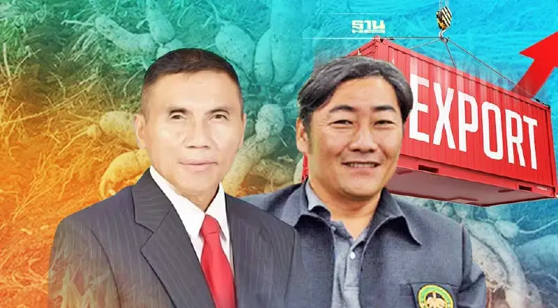 ยอดส่งออกมันสำปะหลัง ปี 65 สูงสุดเป็นประวัติการณ์