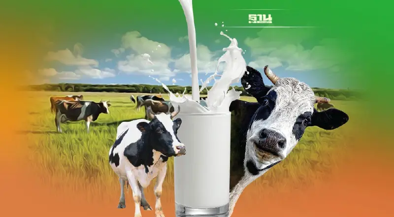 1 ต.ค. ดีเดย์  ปรับขึ้นราคา “น้ำนมดิบ-นมพร้อมดื่ม” ทั่วประเทศ