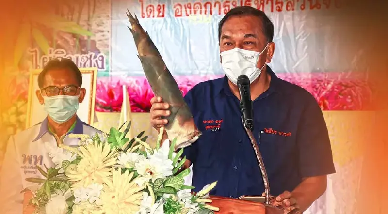 อบจ.อุดรธานีจับมือท้องถิ่น186แห่งระดมปลูกไม้ไผ่"มีไม้ได้อาหาร"