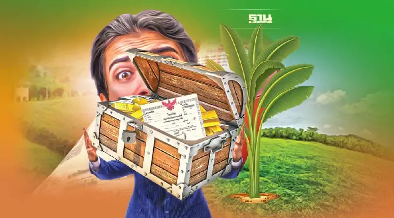 คลัง ชี้ กฎหมายเปิดช่อง กทม. เก็บภาษีเศรษฐีนำที่ดินปลูกพืชเกษตรเลี่ยงภาษี