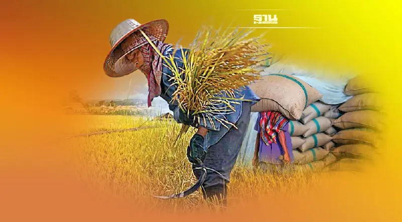 มหากาพย์ “จำนำข้าว”  8 ปี รัฐบาล เหตุไฉนยังปิดบัญชีไม่ลง