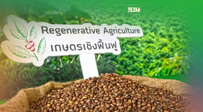 เนสกาแฟ ย้ำภารกิจ Net Zero ชูผลผลิตเกษตรกรไทยฉลองวันกาแฟสากล เนสกาแฟ ย้ำภารกิจ Net Zero ชูผลผลิตเกษตรกรไทยฉลองวันกาแฟสากล