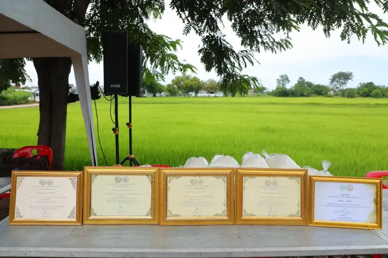 กรมการข้าว ลุยยกระดับมาตรฐานการผลิตข้าวไทย เชื่อมโยงตลาดข้าวต่างประเทศ