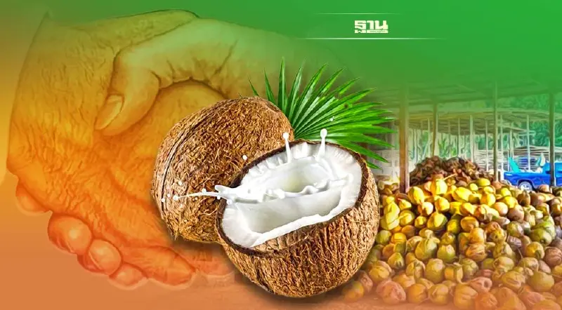 เกษตร จับมือ พาณิชย์ สั่งลุยแก้ปัญหามะพร้าว ปลายปีนี้ราคากลับสู่ปกติ