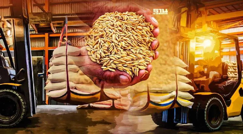 ไทยรั้งเบอร์2 ส่งออกข้าวเพิ่มขึ้น5.36%