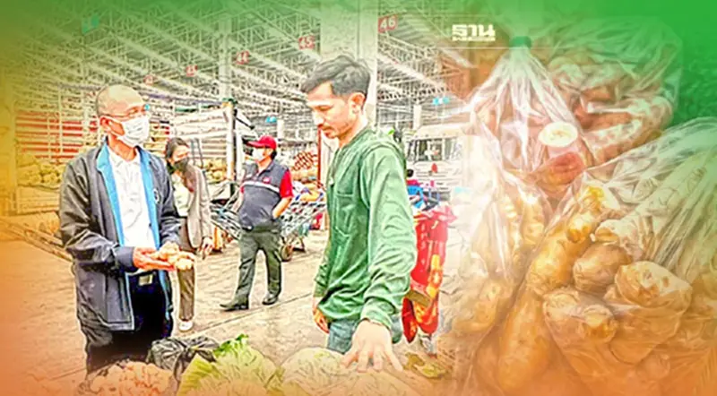 พาณิชย์เร่งช่วยเกษตรกรผู้ปลูกขิงแก่ หลังราคาร่วง-ไร้คนรับซื้อ พาณิชย์เร่งช่วยเกษตรกรผู้ปลูกขิงแก่ หลังราคาร่วง-ไร้คนรับซื้อ